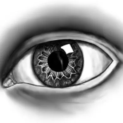 ..::EyeRIS