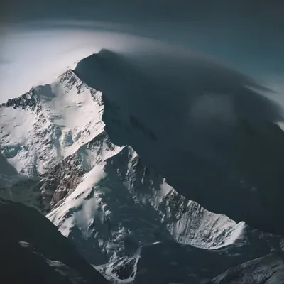 Fortress