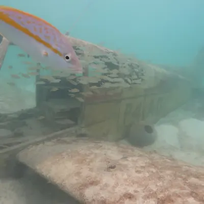 Atlantic Ocean crashed plane