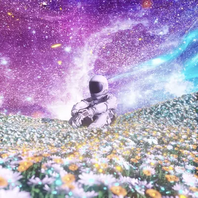 Isolation