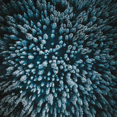 Perspective