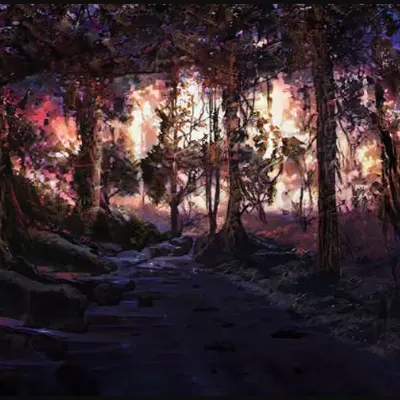 Into The Woods