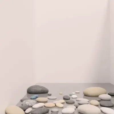 Tree River