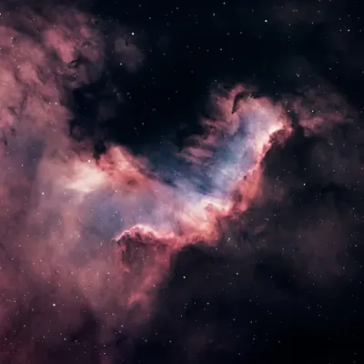 CYGNUS