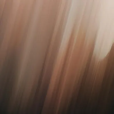 Rays