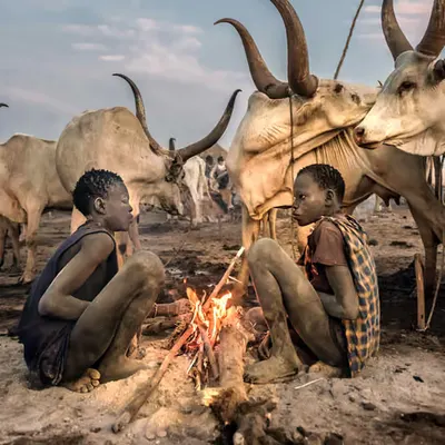 Life in the Cattle Camp #16