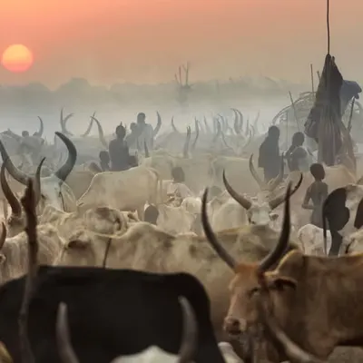 Sunset on Cattle Camp #25