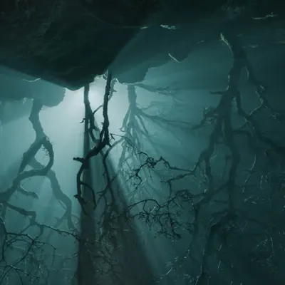 The Upside Down III