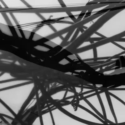 Forbidden Identity (B)