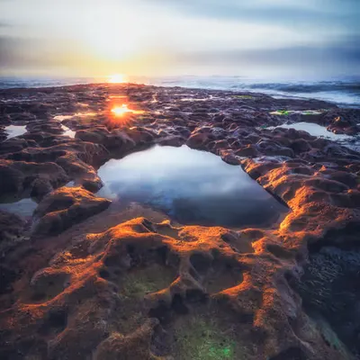 Renewal I