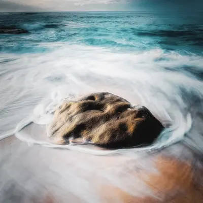 Renewal II