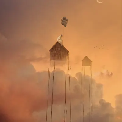 Mistress of skies 