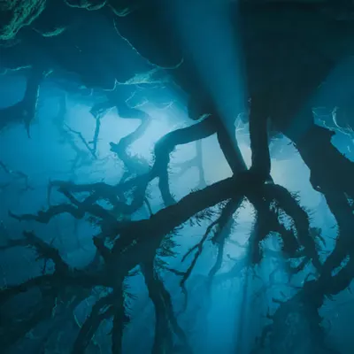 The Upside Down IV