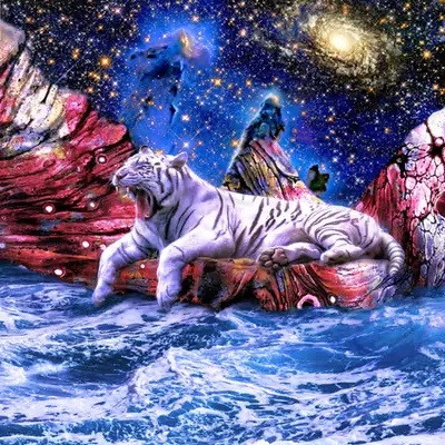 Stargazing