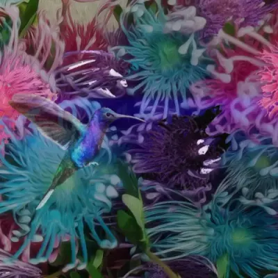 Hummingbird