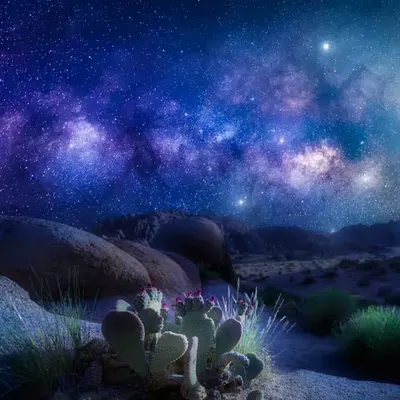 Starseed (Dreamscapes Series #1)