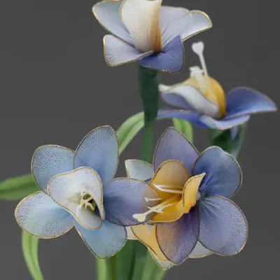 Fleur d'Artifice (Bouquet)