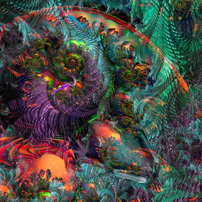 Pavo Cristatus