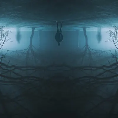The Upside Down VI