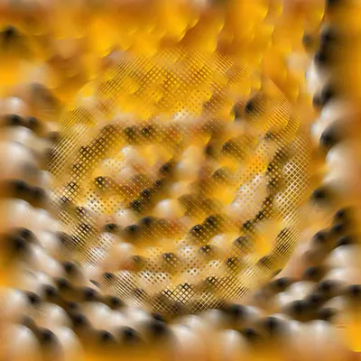 Gold Ignorance