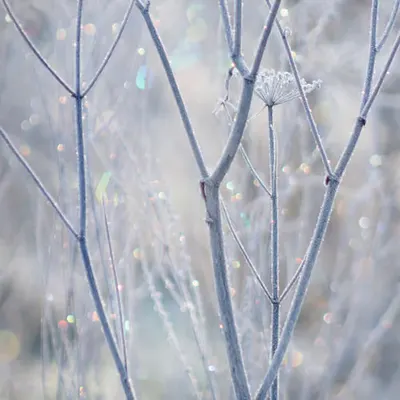 Sparkle