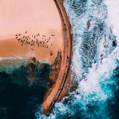 Safe Harbor