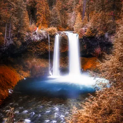 Koosah Falls (Landmark Series #5)