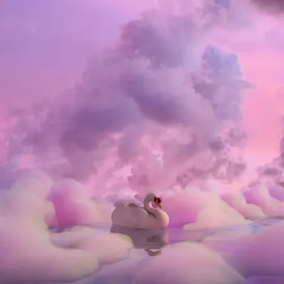 Pink Cloud Lake