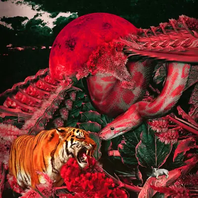 The Garden Of Doubt