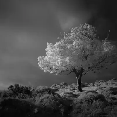 FANTASY - ANOTHER WORLD 1