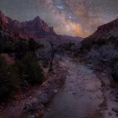 Zion Lights