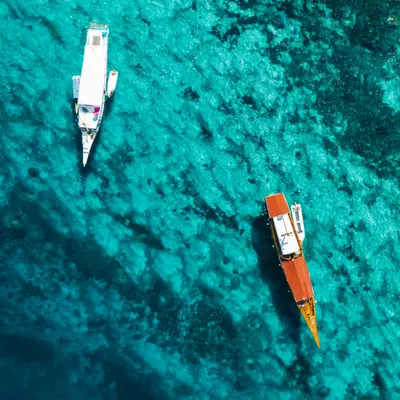 Seas The Day
