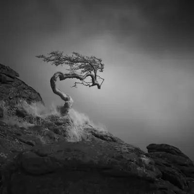 THE WITCH - ANOTHER WORLD 3