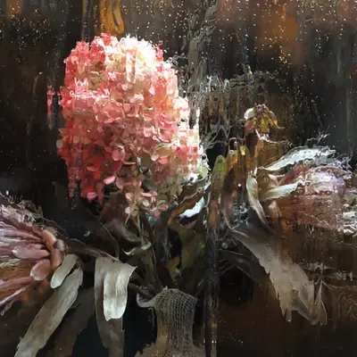 Reflections #5