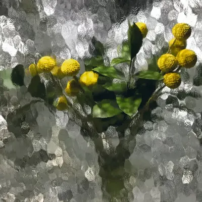 Reflections #9