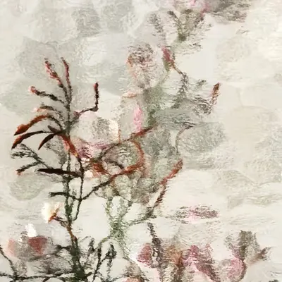 Reflections #13
