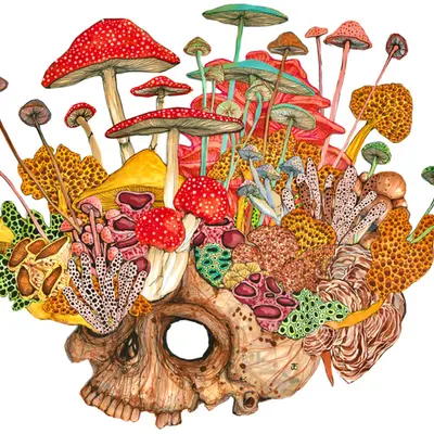 Mushy Skull OG