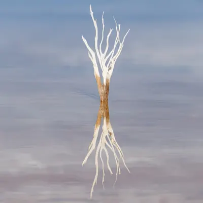 Upside Down