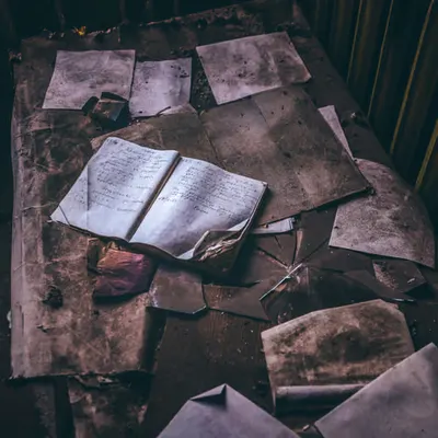 Memory frozen in Chernobyl II