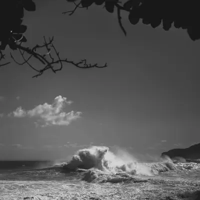 Violent Paradise