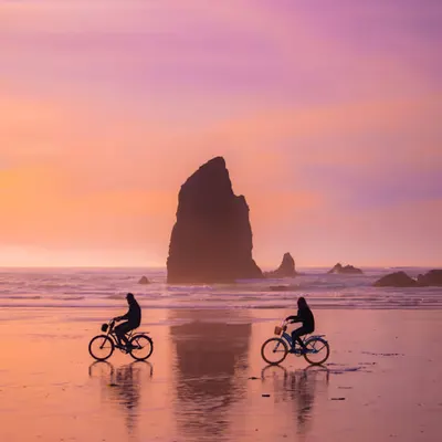 Beach Cruisers