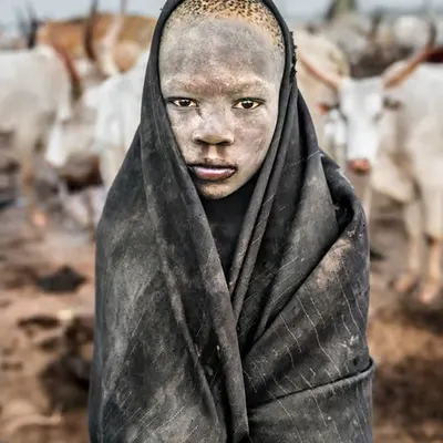 Wrapped in the Dust #81