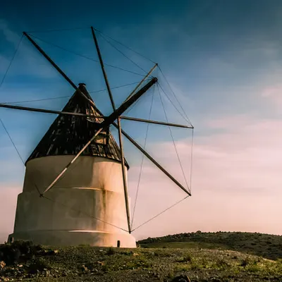 The main contenders of Don Quixote