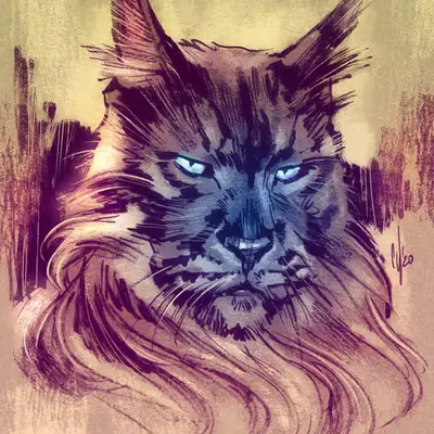 Regal Cat