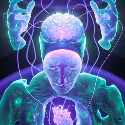 Melted Brain