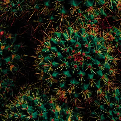 Spiky balls
