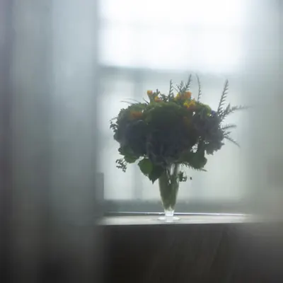 Through the Glass Doors