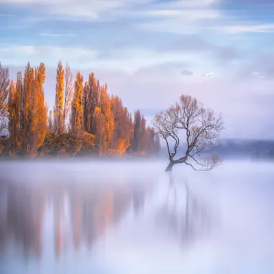 Solitude 