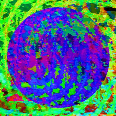Monet Impressionism  #9