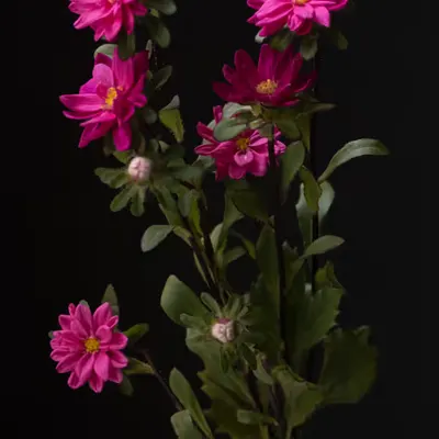 French Flowers #5